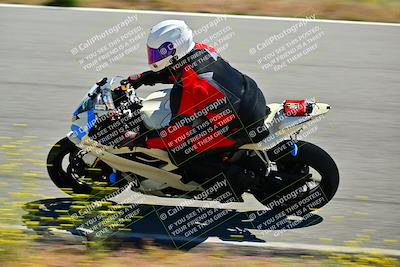 media/May-10-2024-2WTD (Fri) [[c88d7990af]]/Group C/Session 2-The Bowl/